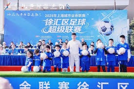 2026世界杯意甲球员全景分析，谁能代表意大利出征
